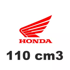 110 cm3