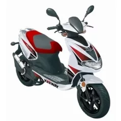 RY8 50 EVO Sport (2010-2011)