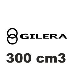 300 cm3
