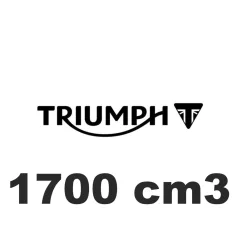 1700 cm3