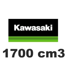 1700 cm3