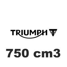 750 cm3