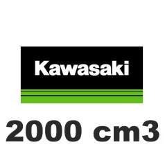 2000 cm3