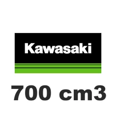 700 cm3
