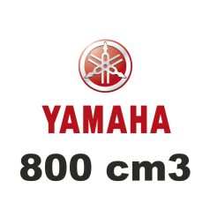 800 cm3