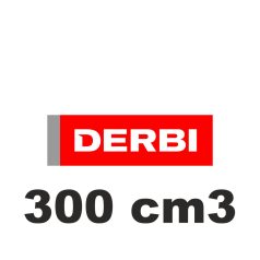 300 cm3