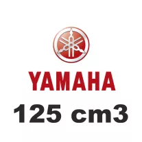 125 cm3