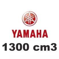 1300 cm3