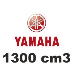 1300 cm3
