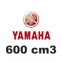 600 cm3