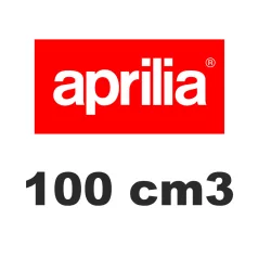 100 cm3