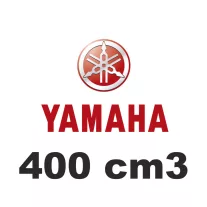 400 cm3