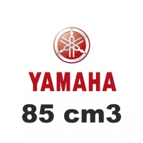 85 cm3