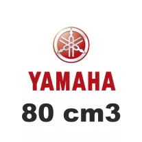 80 cm3