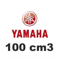 100 cm3