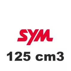 125 cm3