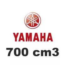 700 cm3
