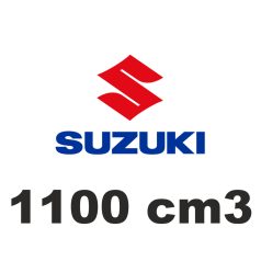 1100 cm3