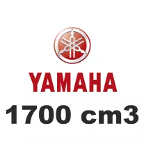 1700 cm3