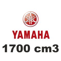 1700 cm3