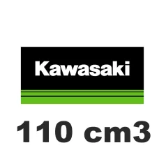 110 cm3