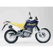 NX 650 Dominator