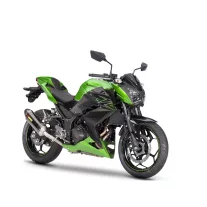 Z 300 (2015-2016)