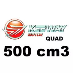 500 cm3
