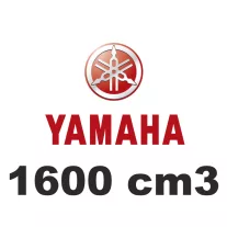 1600 cm3