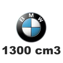 1300 cm3