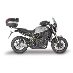 Leoncio 800 (22-26)