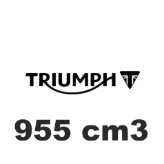 955 cm3