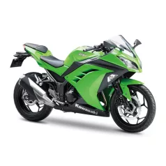 EX 300 Ninja