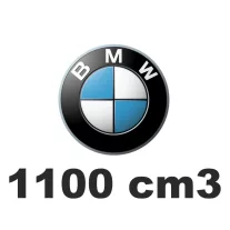 1100 cm3
