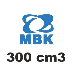 300 cm3