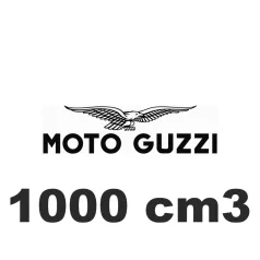 1000 cm3