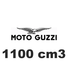 1100 cm3