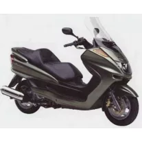 Skyliner 250 (2000-2007)