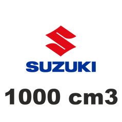 1000 cm3