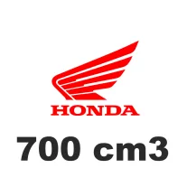 700 cm3