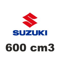 600 cm3