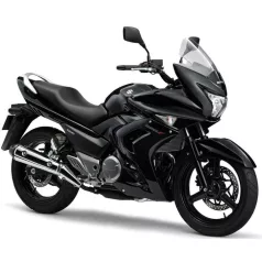 GW 250 F Inazuma