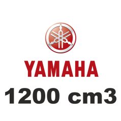 1200 cm3