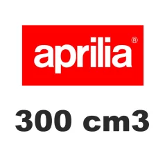 300 cm3