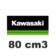 80 cm3
