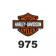 975 cm3