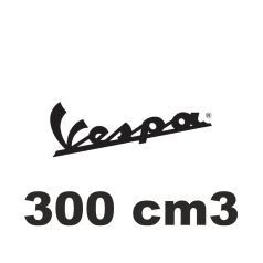 300 cm3