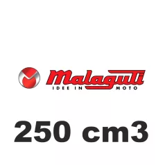 250 cm3