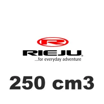 250 cm3