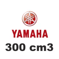 300 cm3